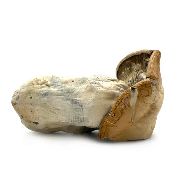 Hillbilly-3--600x600.png