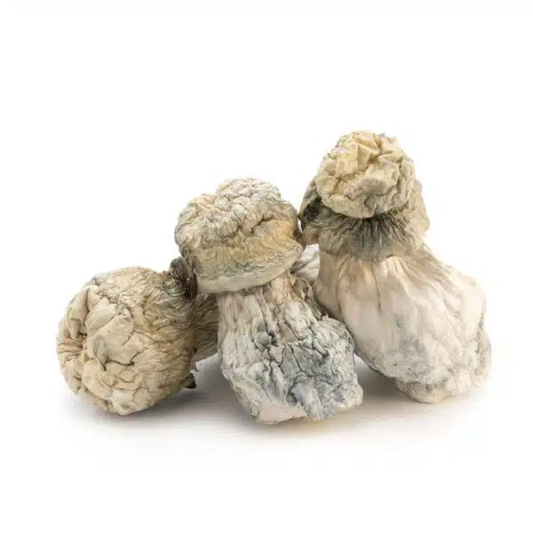 albino-penis-envy-1--600x600.jpg