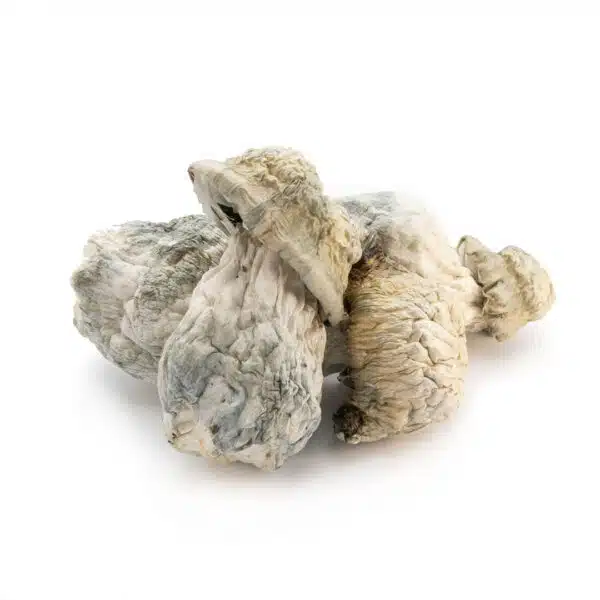 albino-penis-envy-3--600x600.jpg