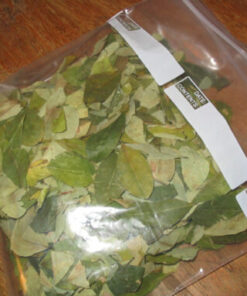 Coca leaves